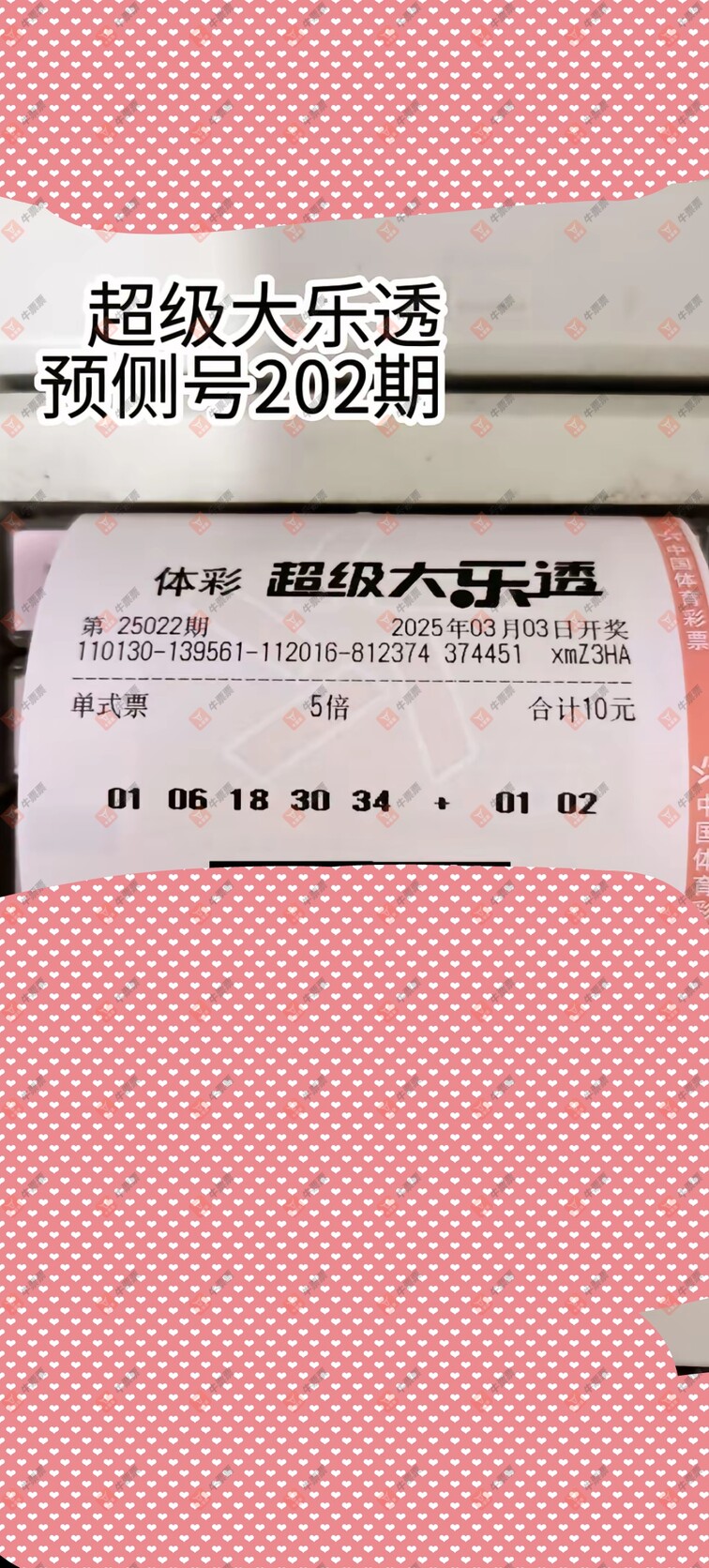 牛票票
