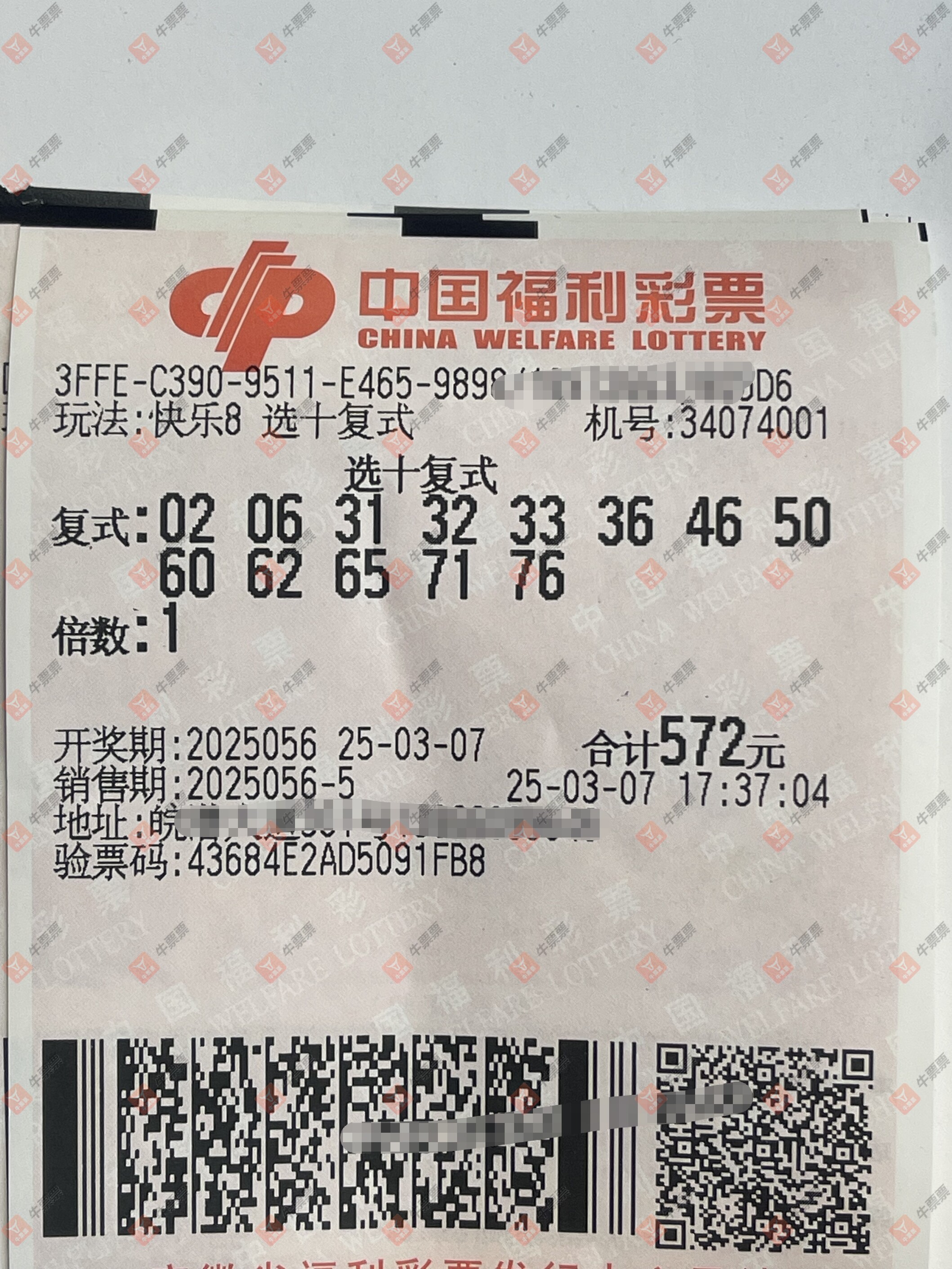 牛票票