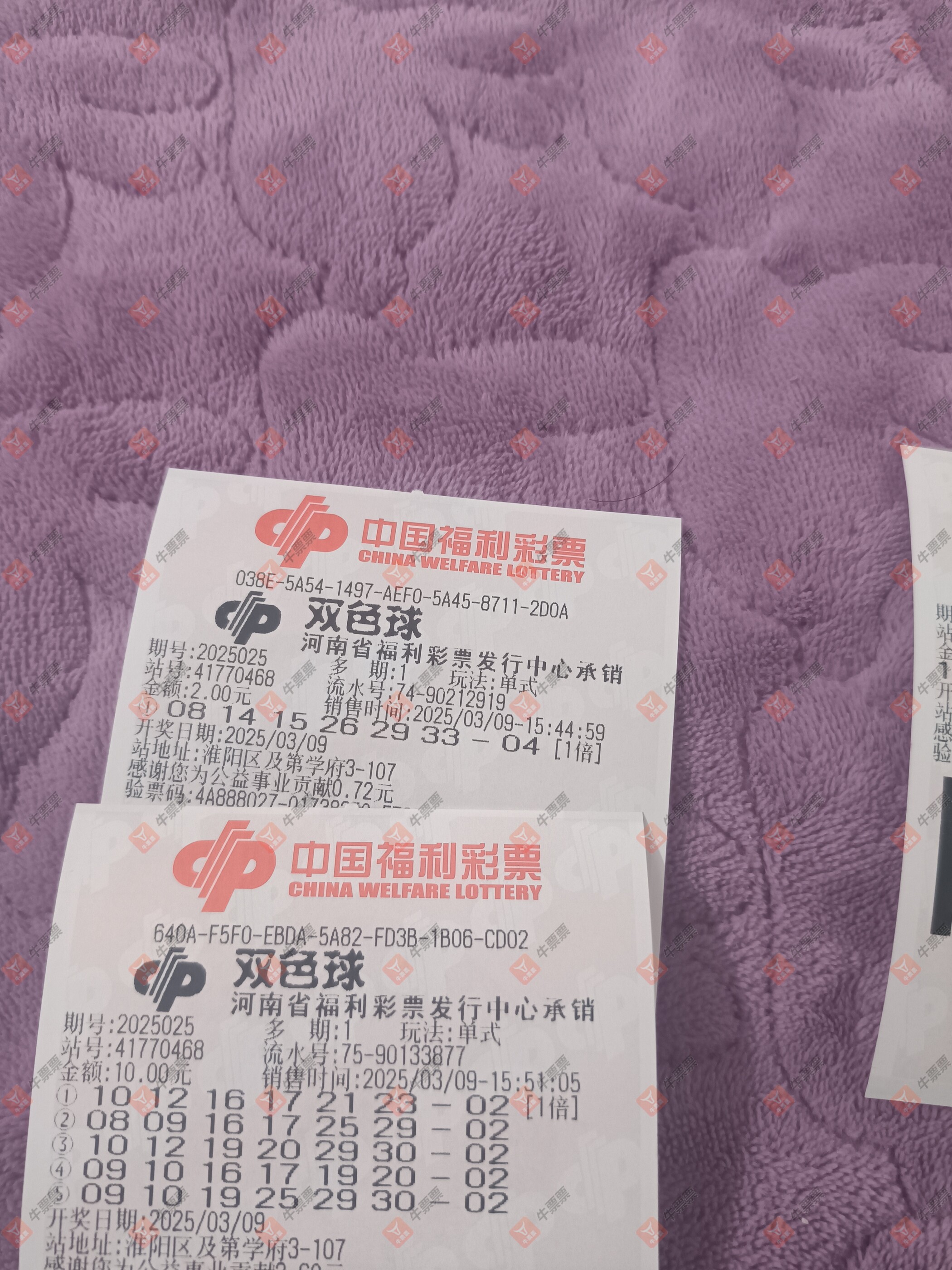 牛票票