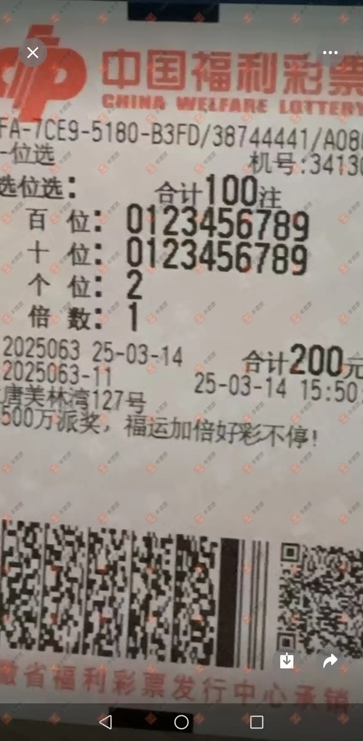 牛票票