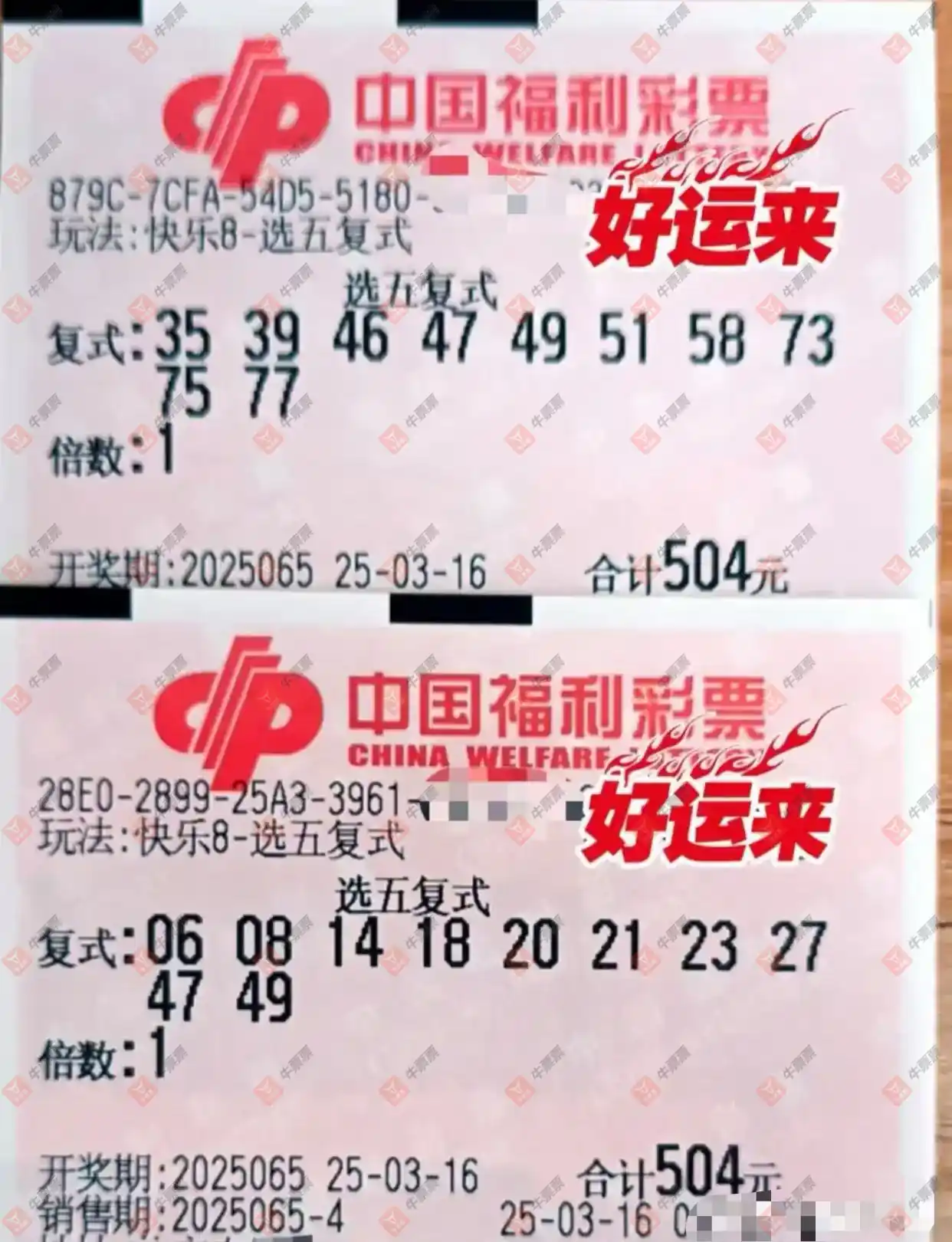 牛票票