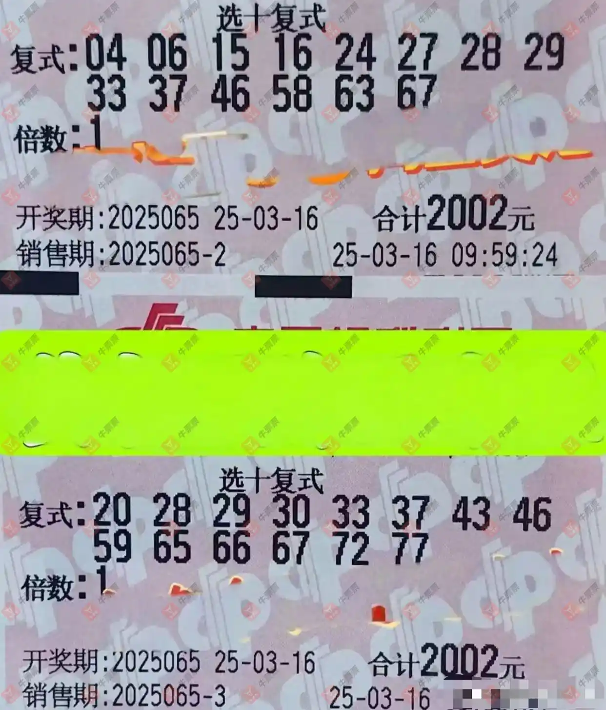 牛票票