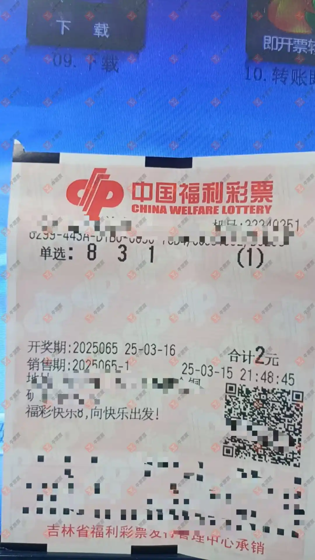 牛票票