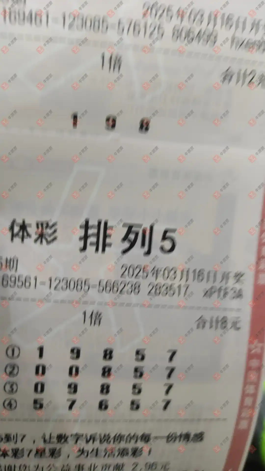 牛票票