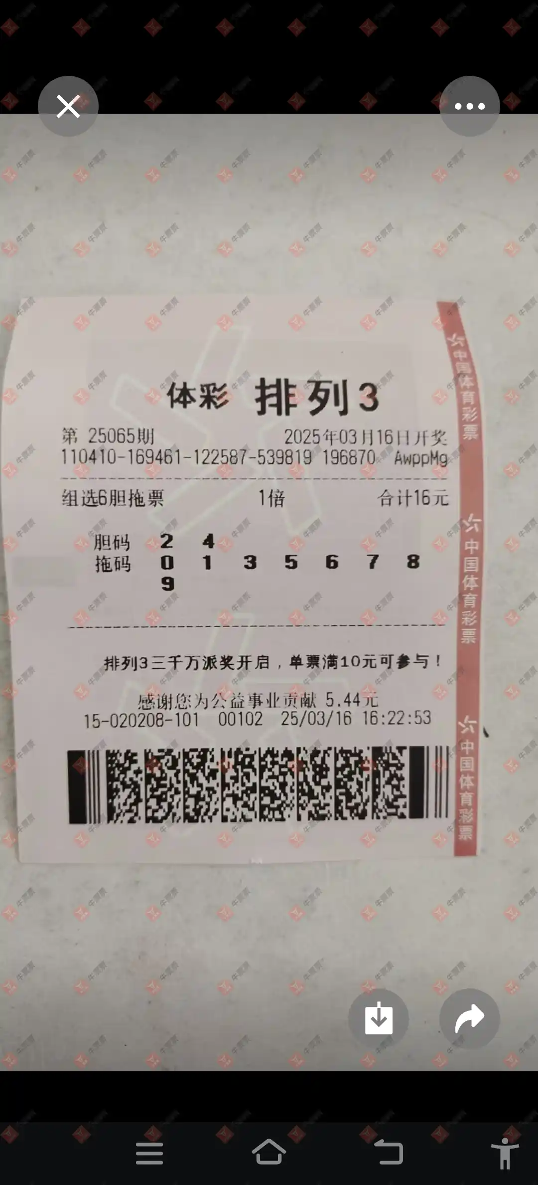 牛票票