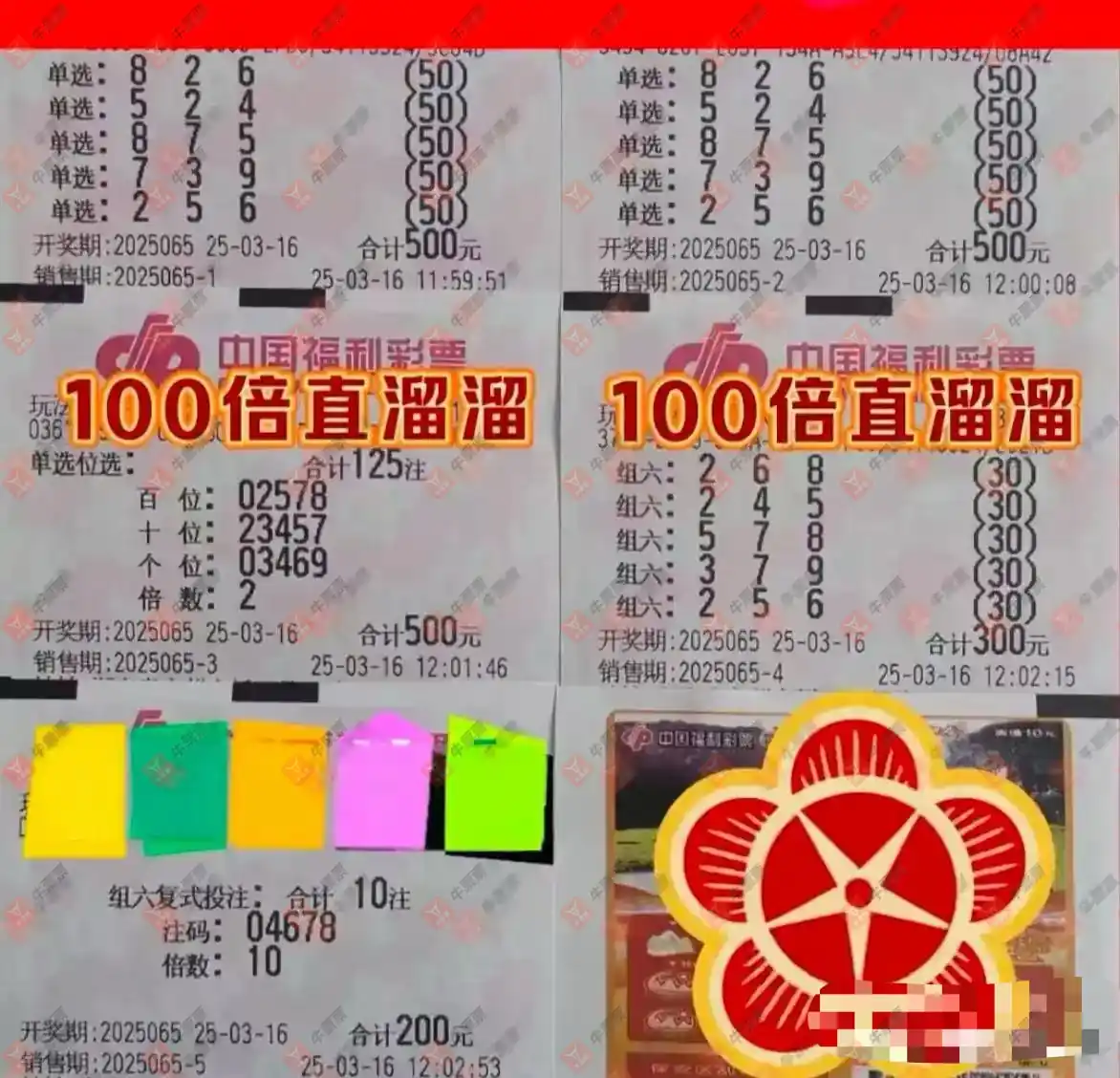 牛票票