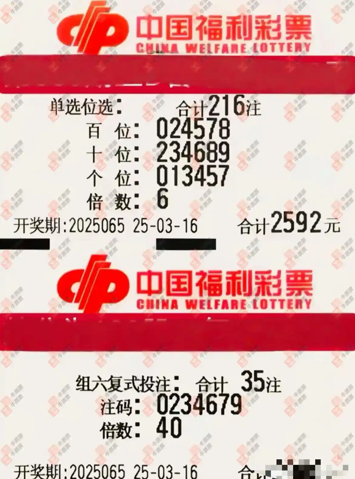 牛票票