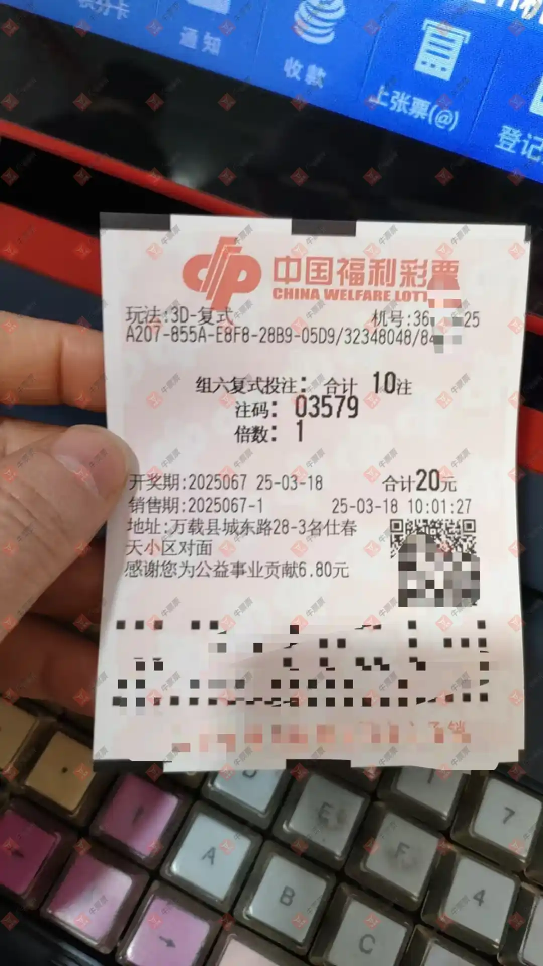 牛票票