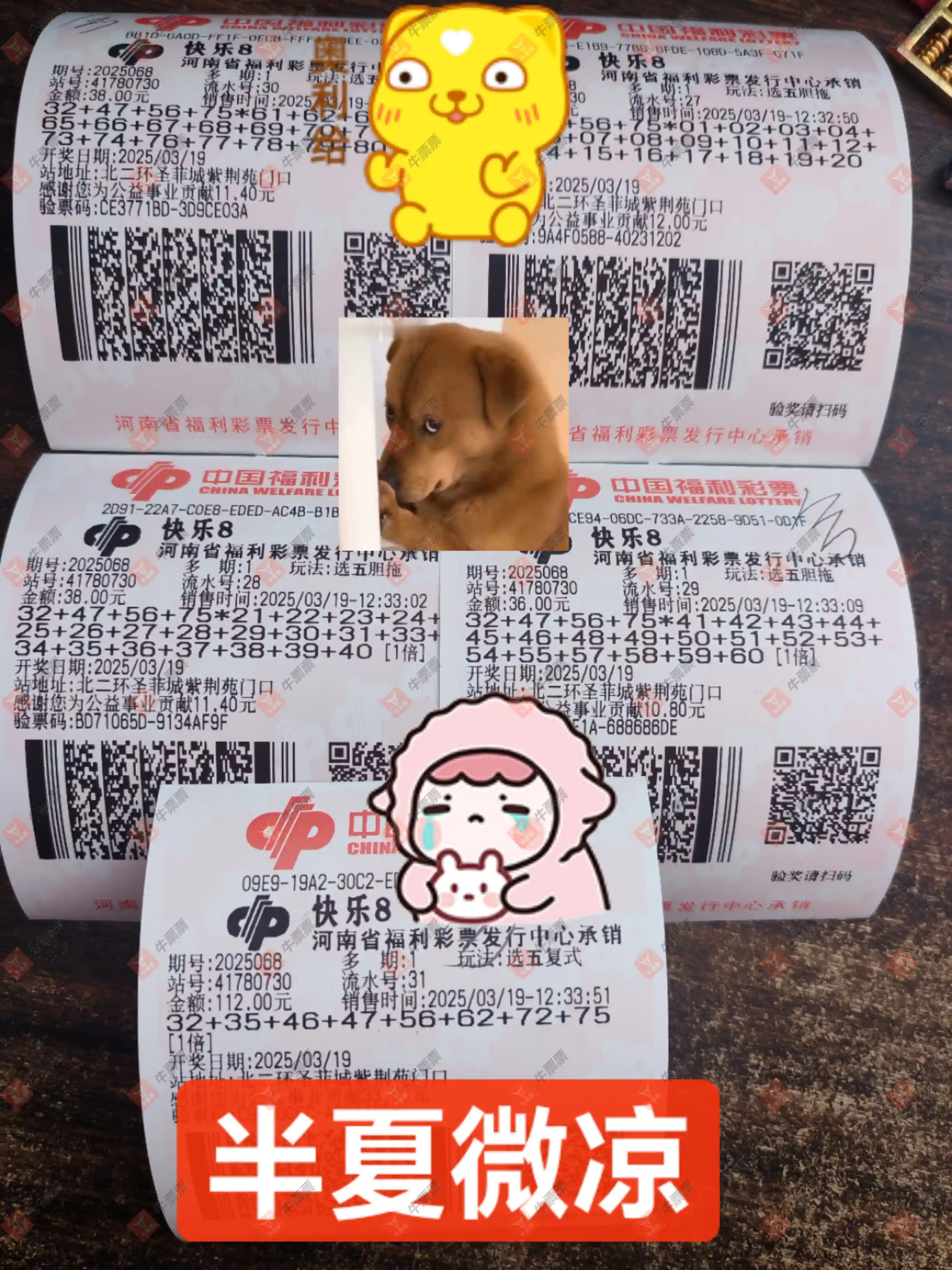 牛票票