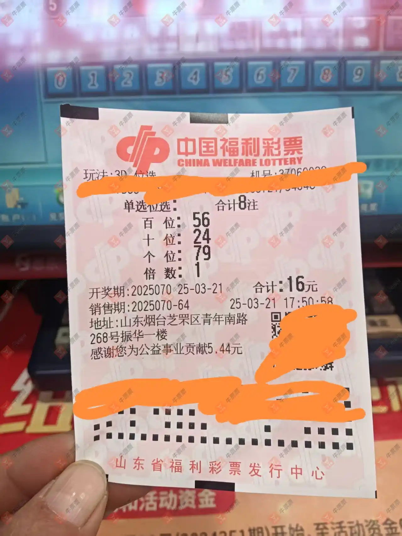 牛票票