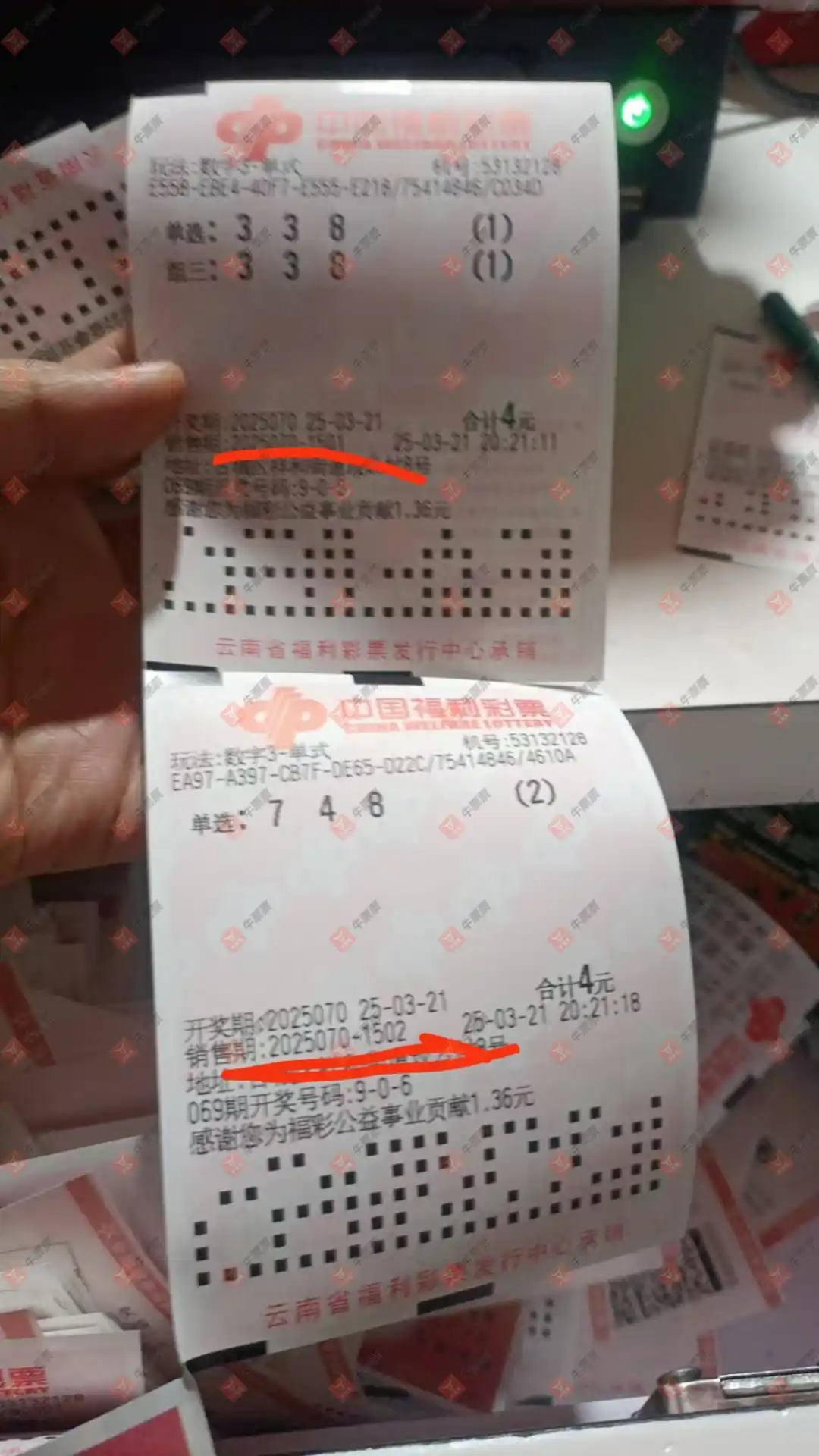 牛票票